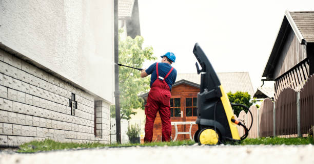 Best Roof Cleaning and Mildew Removal in New Lexington, OH